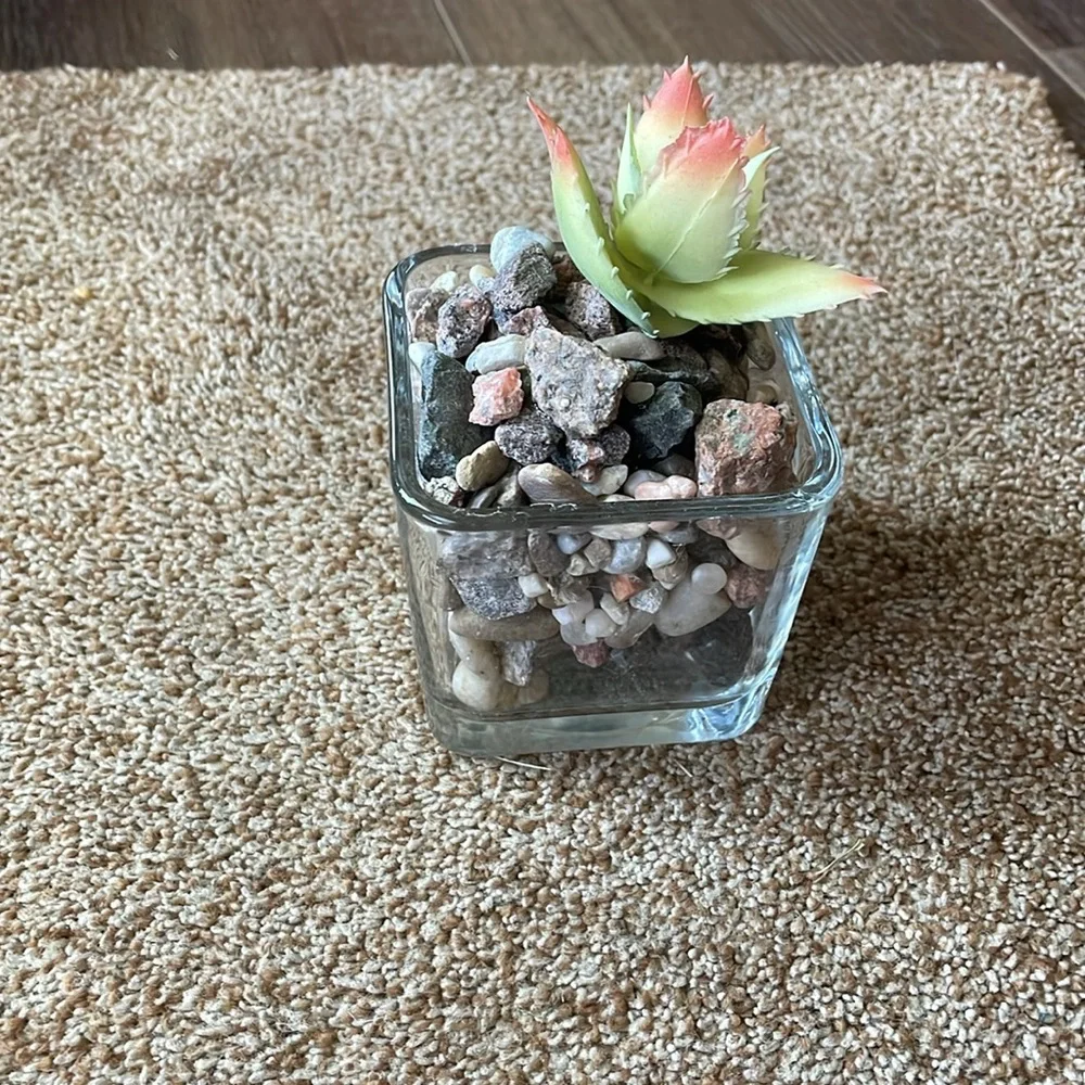 Square glass faux succulent